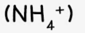 <p><strong>effect of aqueous sodium hydroxide</strong>: ammonia produced in warming</p><p><strong>effect of aqueous ammonia</strong>: -</p>