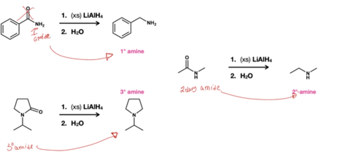 <p>Reduces amides to their respectives amines; basically the structurw without the carbonyl</p>