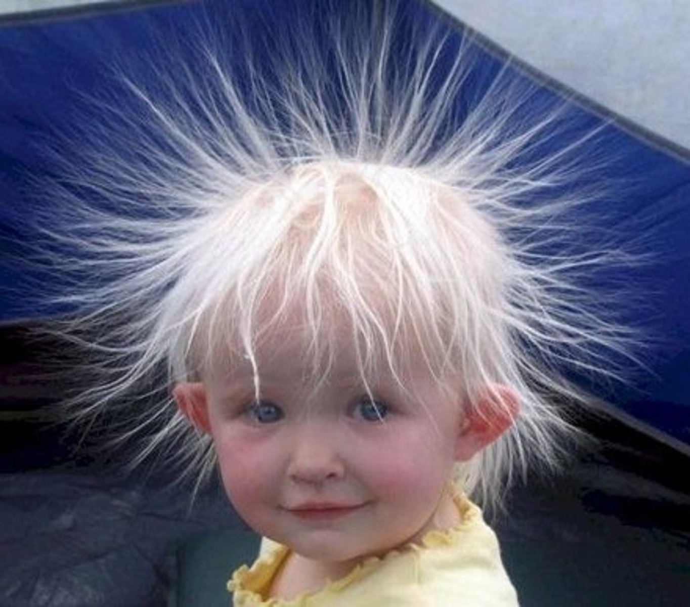 <p>electricity</p>