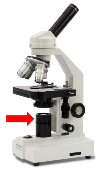 <p>What is this part called?</p>