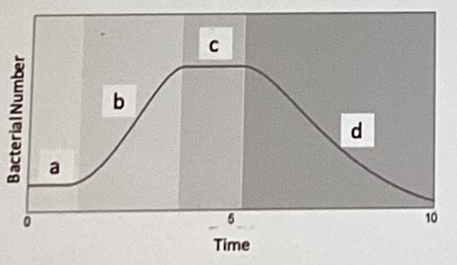 <p>The figure below shows the growth curve of a bacteria in a batch (closed) culture. In which phase would you expect to find amount of carbon decreasing while. the. number of viable cells increasing?</p><p></p><p>a</p><p>b</p><p>c</p><p>d</p>