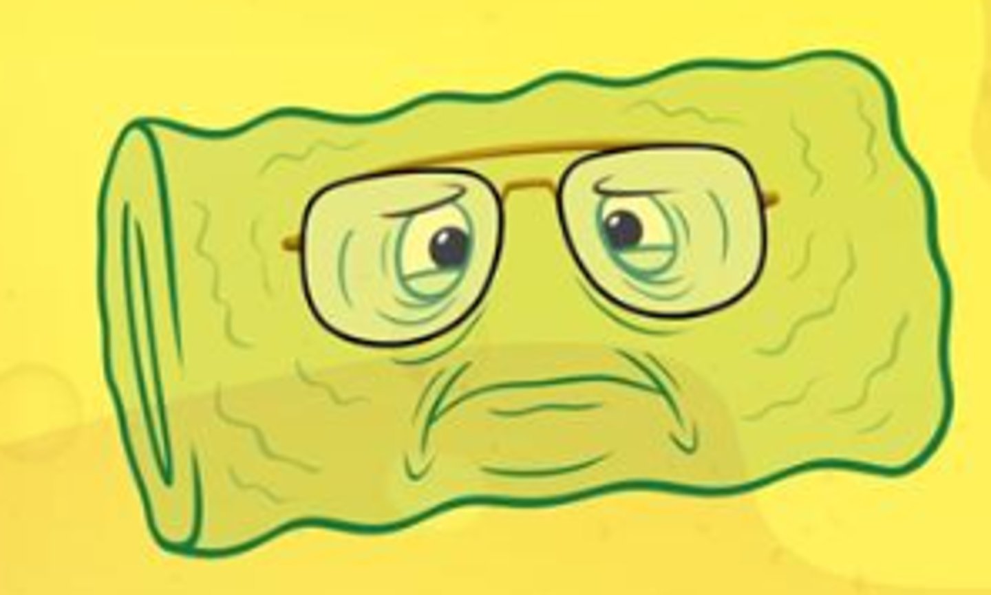 <p>chronic renal failire</p>