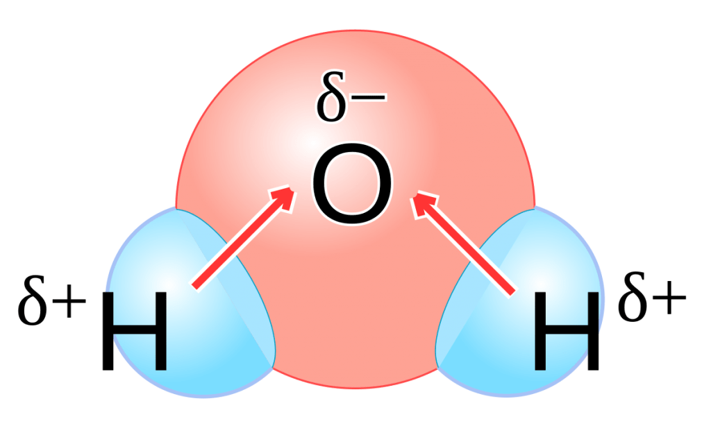 <ul><li><p><span>When two atoms are joined by a polar covalent bond, the negative pole, where the electron density is greater, is indicated by “8<sup>-</sup>.” The positive pole, where the electron density is less, is indicated by “8<sup>+</sup>.”</span></p></li></ul>