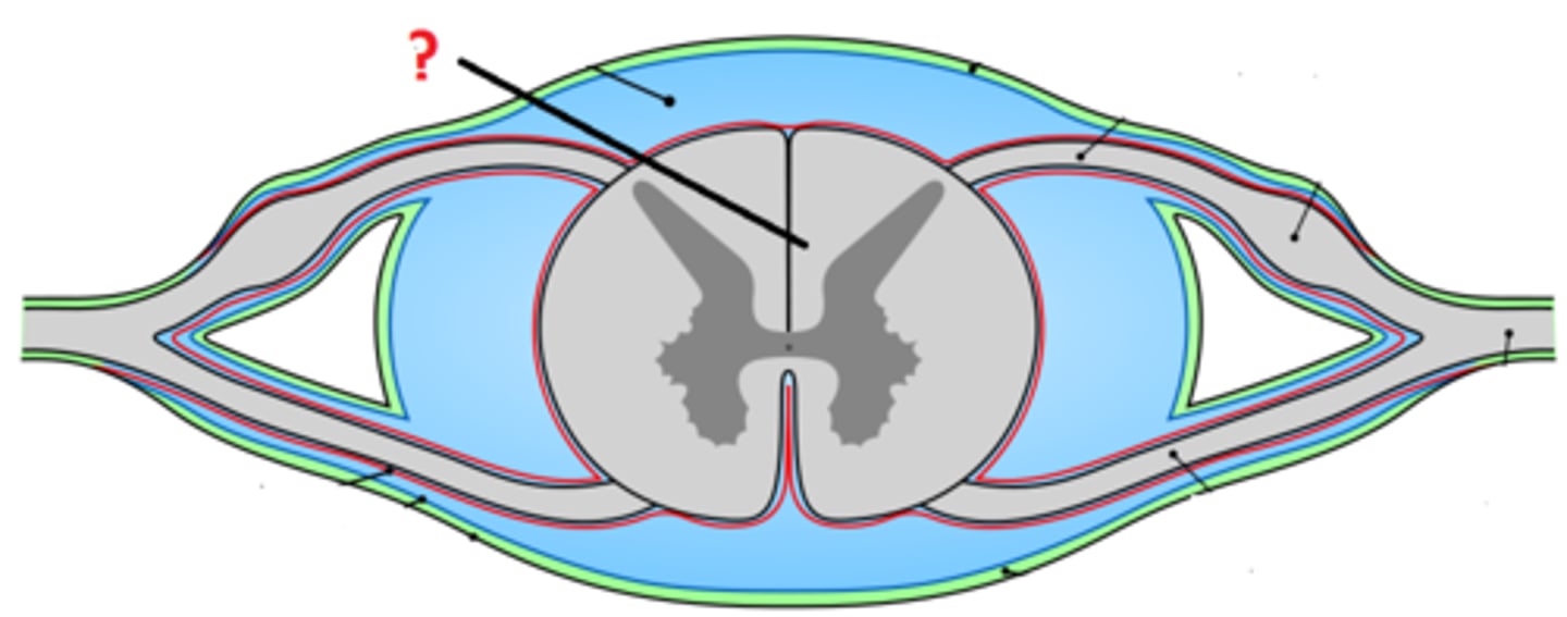 <p>type of tissue</p>