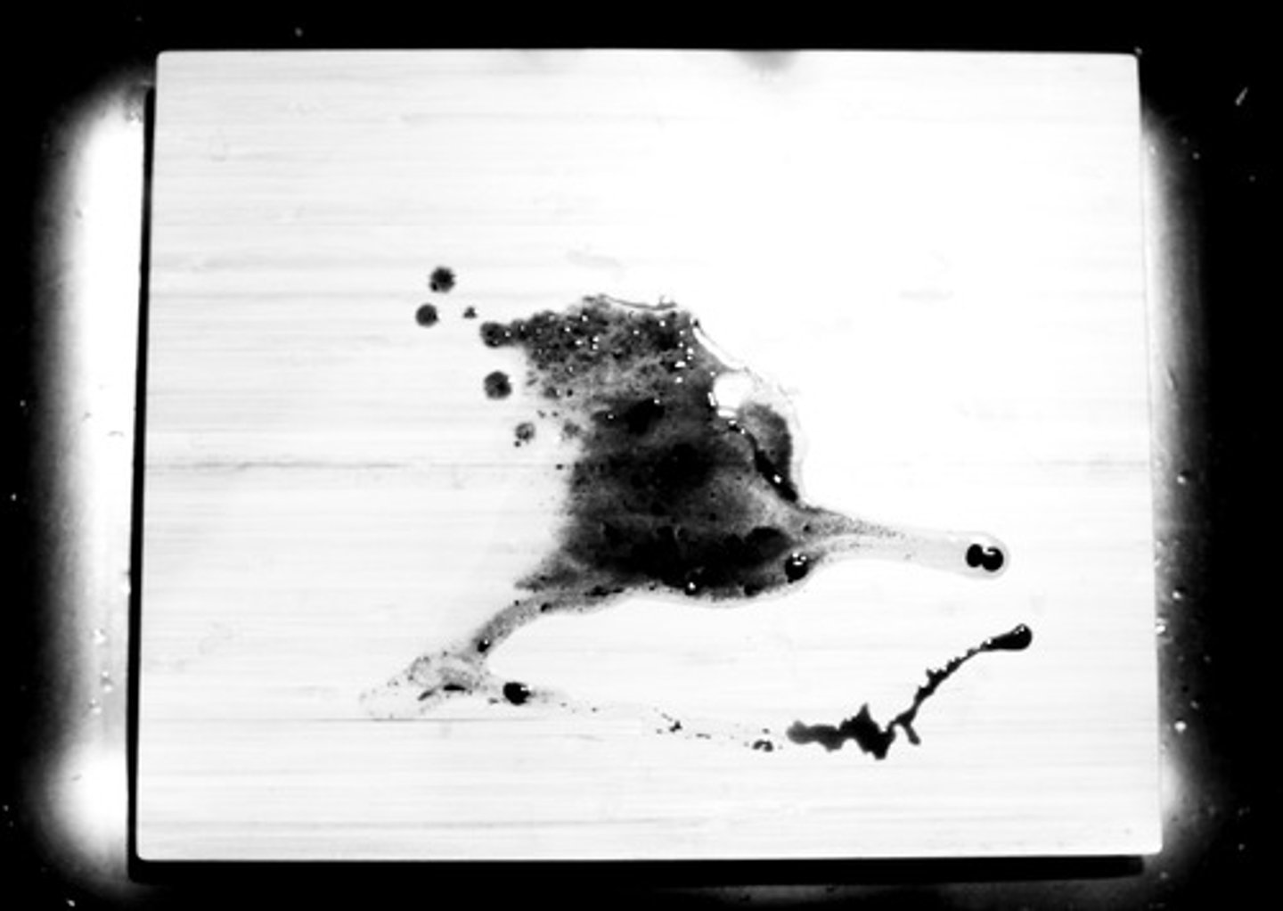 <p>n. 墨水渍;污点;缺点</p><p>v. 涂污;(用吸水纸)吸干墨水;遮暗</p>