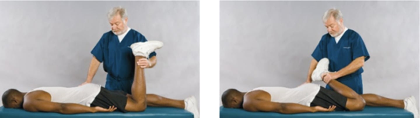 <p>Assessment for:</p><p>- Lumbar radicular pain</p><p>- Femoral nerve inflammation</p>