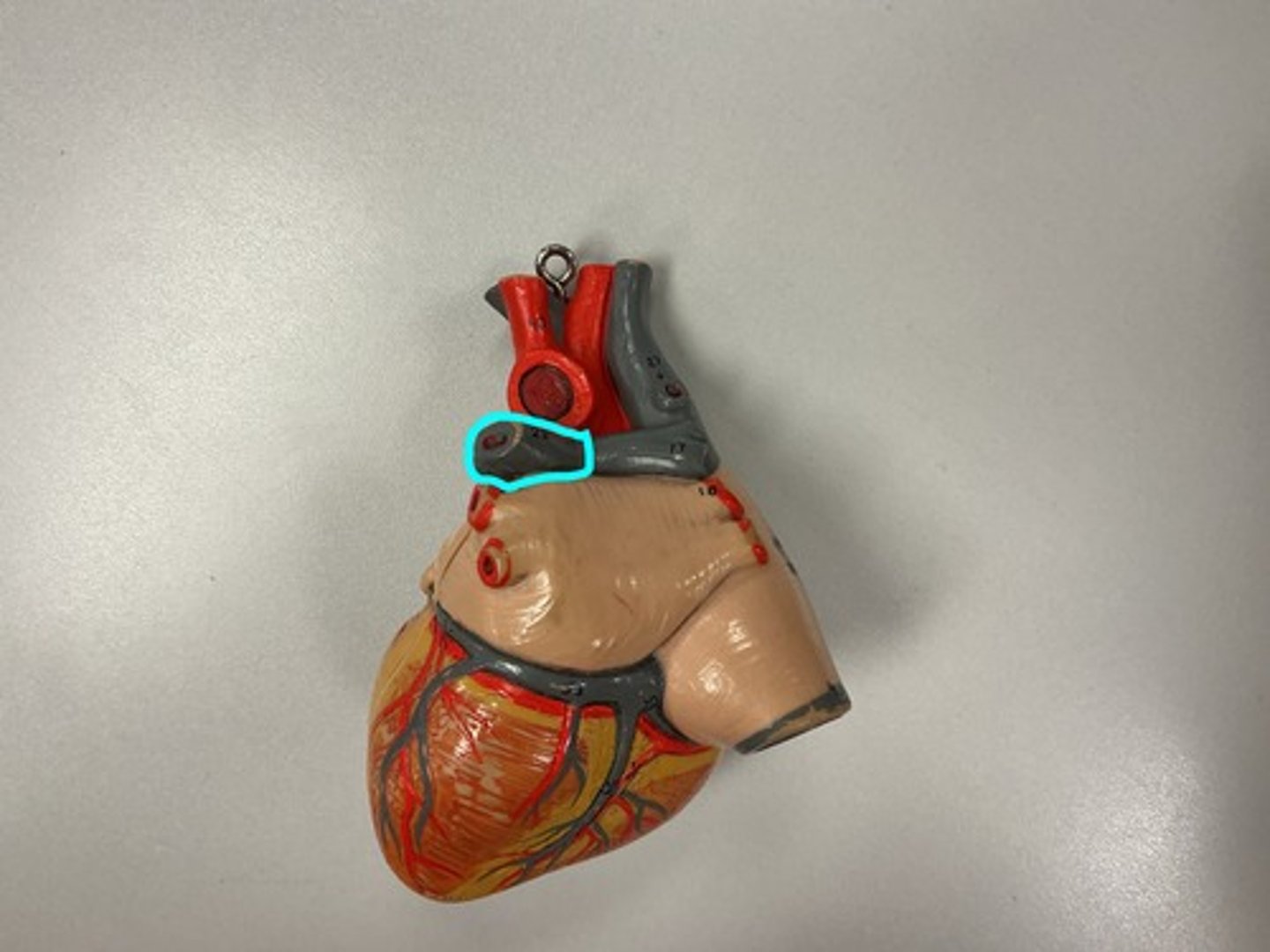 knowt flashcard image