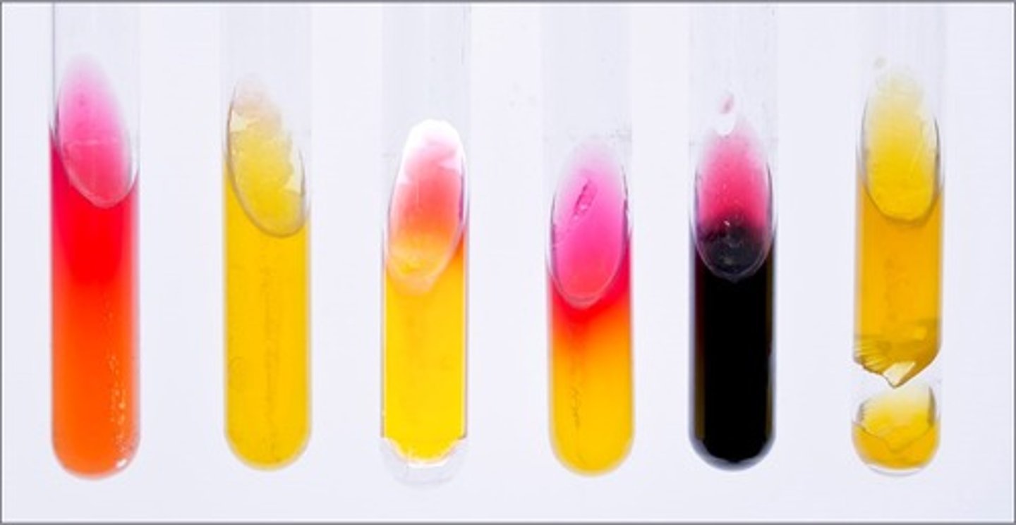 <p>Interpretation of the 5th tube:</p>