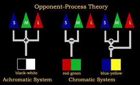 <p>Opponent Process Theory</p>