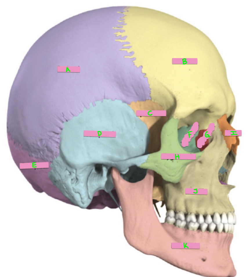 <p>What’s A-D?</p>