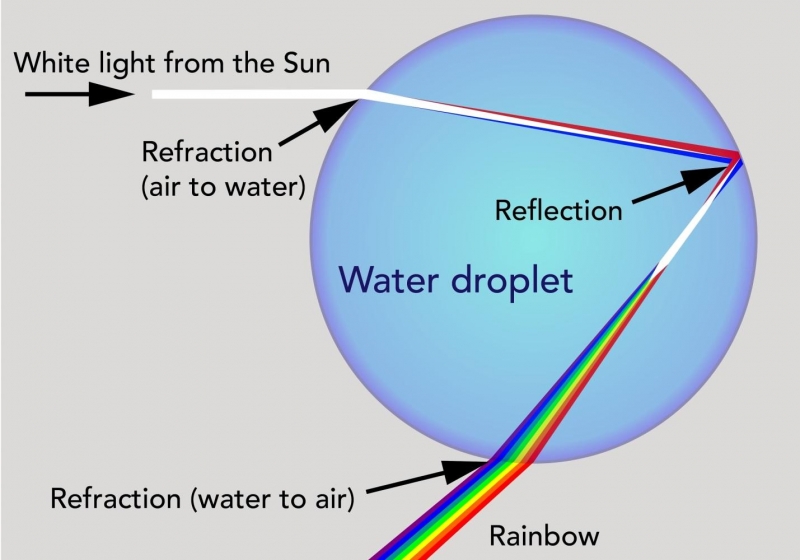 <p>white light enters the raindrop and refracts, then reflects off the back of the raindrop where it starts to break into colors, then refracts more as light leaves the raindrop and splits fully</p>