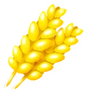 <p>Wheat</p>