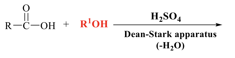 <p>what is the product of this Fischer esterification</p>