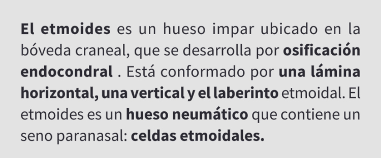<p>Hueso etmoide</p>