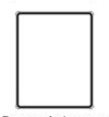 <p>rectangle (vertical longer) or square</p>