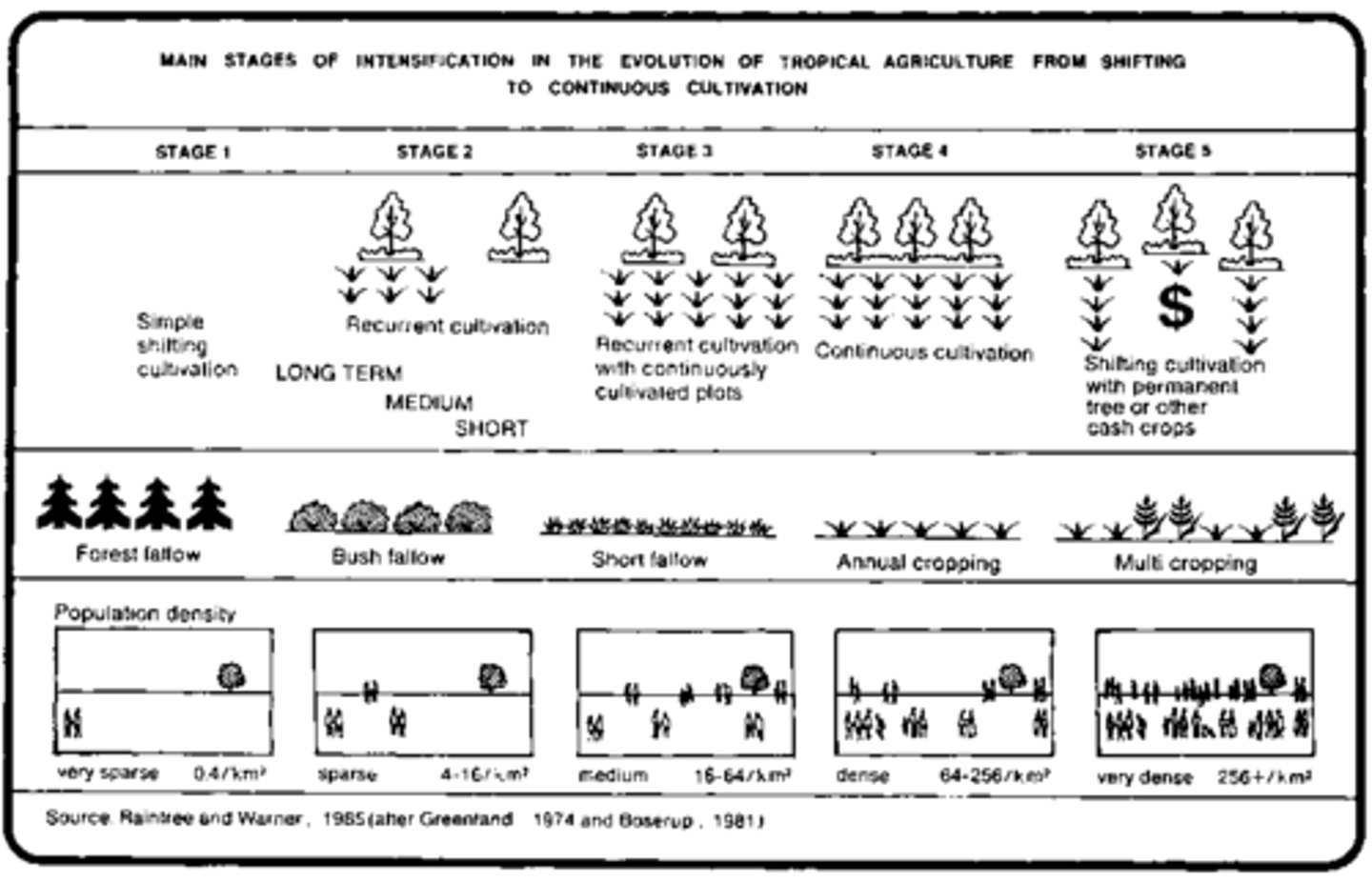 <p>Based on the observation that explains how population increase necessitates increased inputs of labor and technology to compensate for reductions in the natural yields of swidden farming.</p>