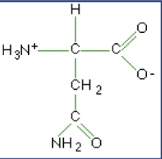 <p>What macromolecule is this?</p>