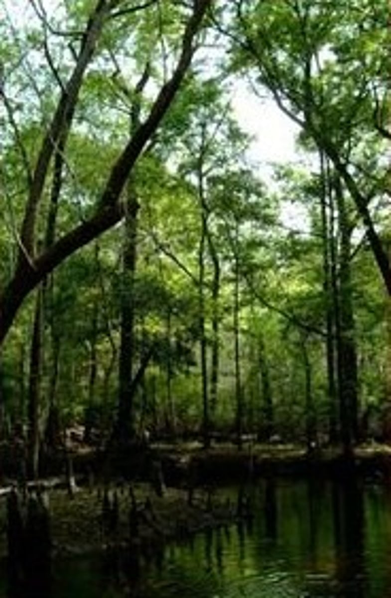 <p>A complex biological system made up of living (biotic) components and non-living (abiotic) factors, involving communities of organisms interacting with each other and with their physical environment</p>