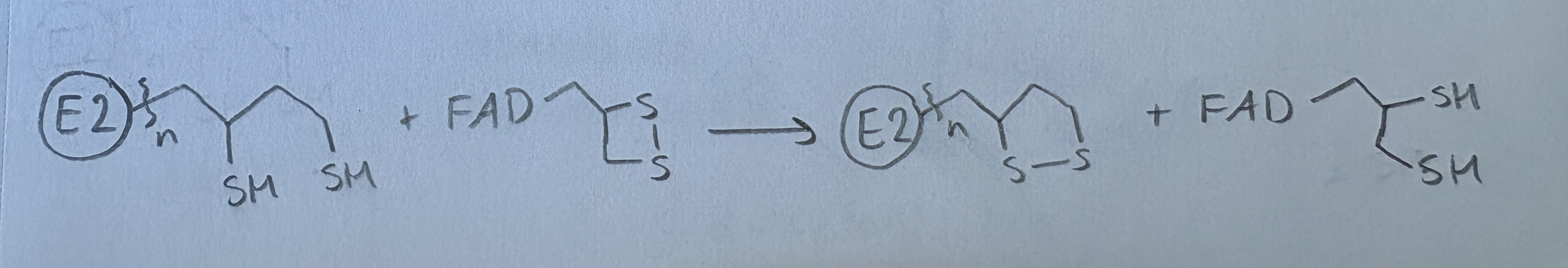 <p></p>