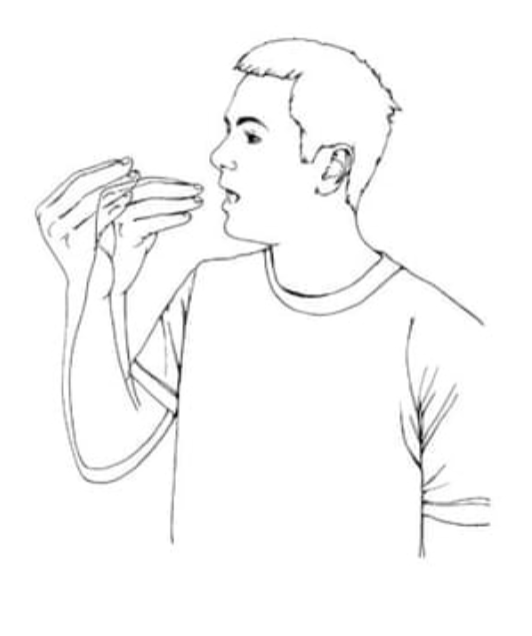 term image