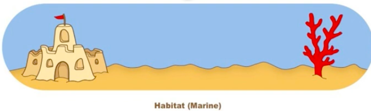 <p>place where species normally lives</p>