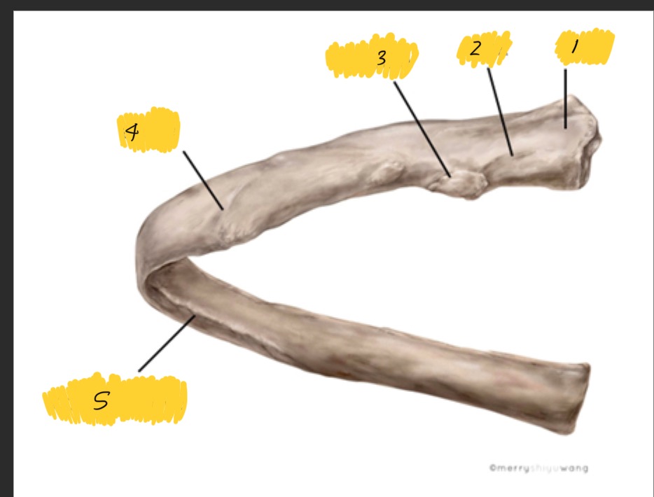 <p>What is 3</p>