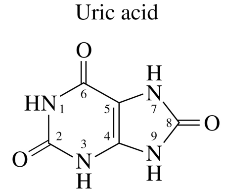 <ul><li><p>limited water solubility to move through the blood</p></li><li><p>if concn too high, it can accumulate as crystals in joints where WBC can also accumulate to cause gout</p></li></ul><p></p>