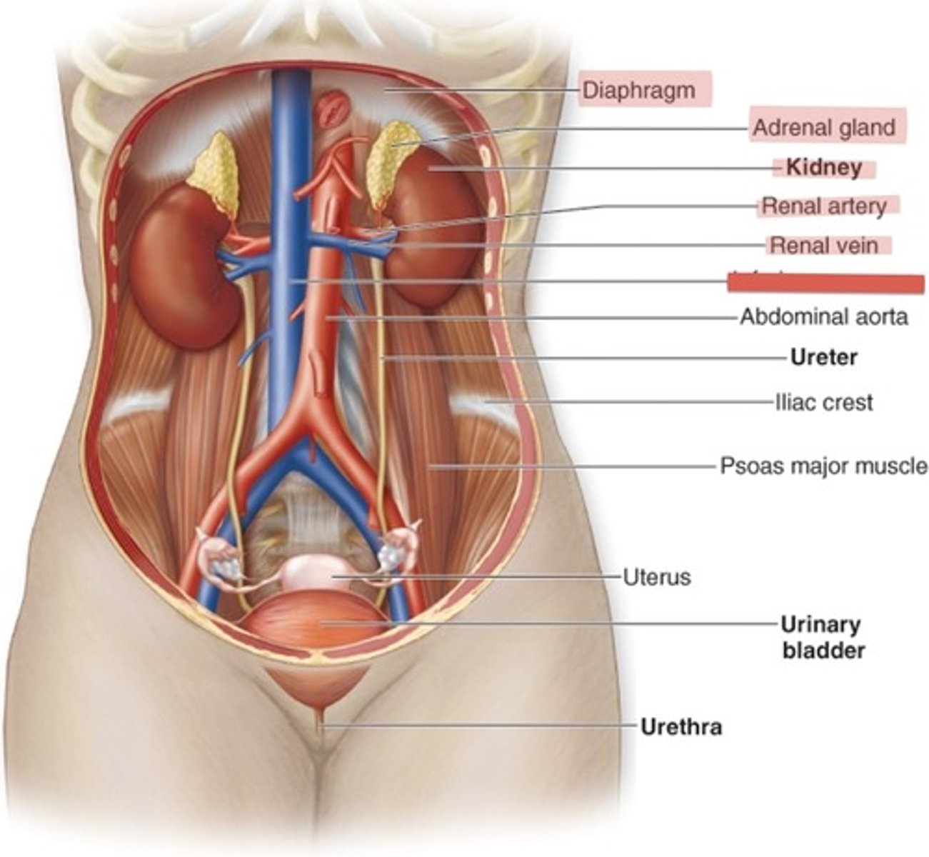 <p>What is this?</p>