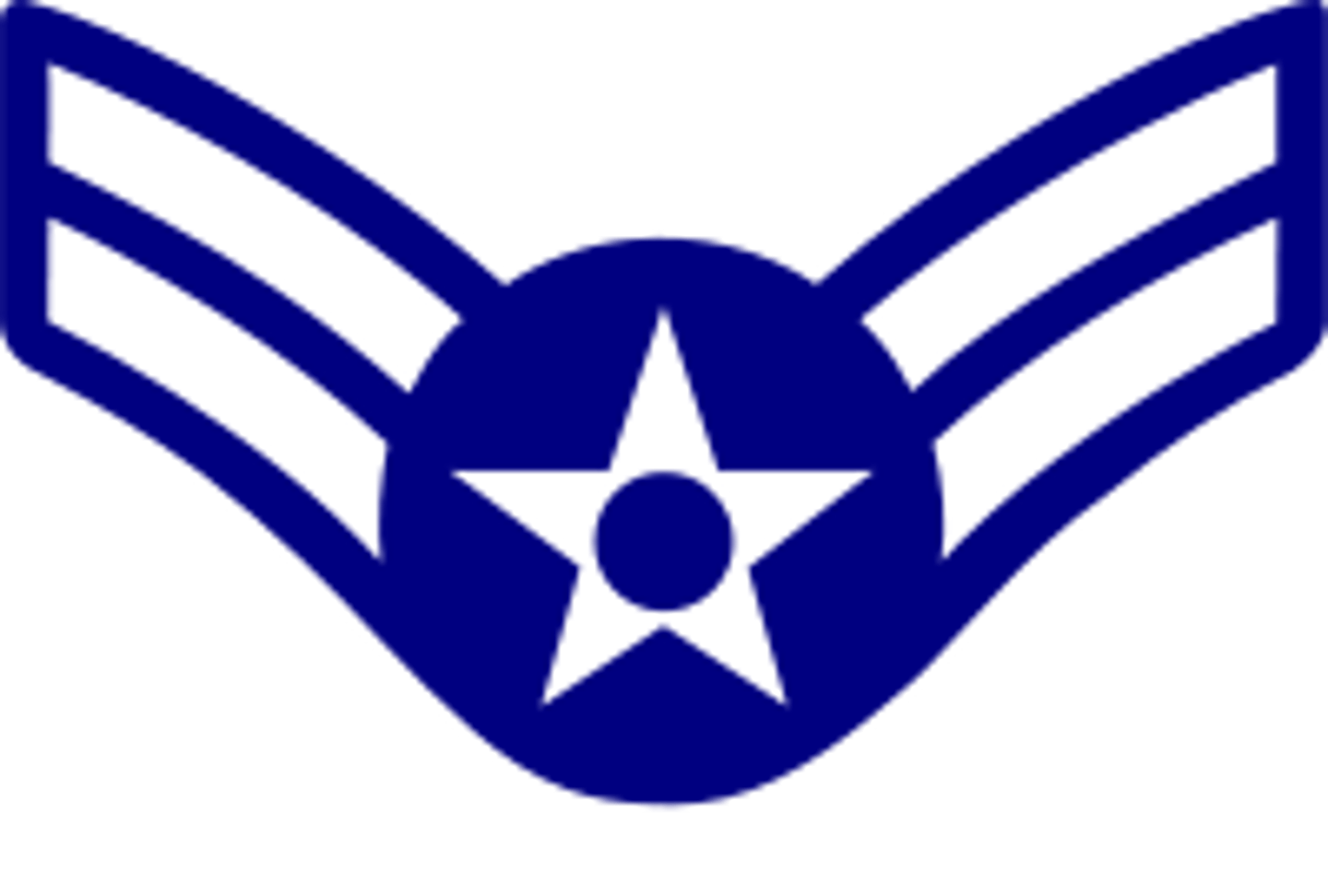 <p>Airman 1st Class / E-# (A1C)</p>