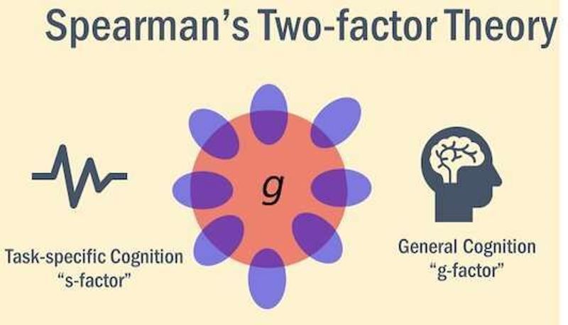 <p>g-factor theory</p>