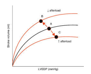 <p>upward and to the left– this increases SV at any preload</p>