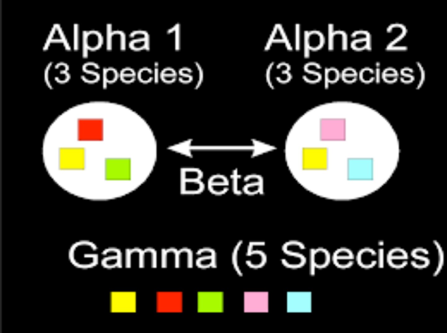 <p>difference in species diversity and composition between local and regional scales (turnover) from one community type to another across the landscape (relationship btw α and γ diversity)</p>