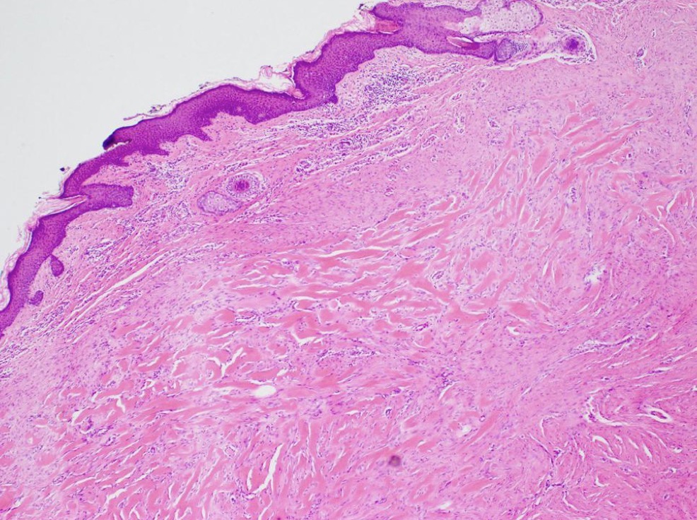 <p>A- identify</p><p>B- describe</p>