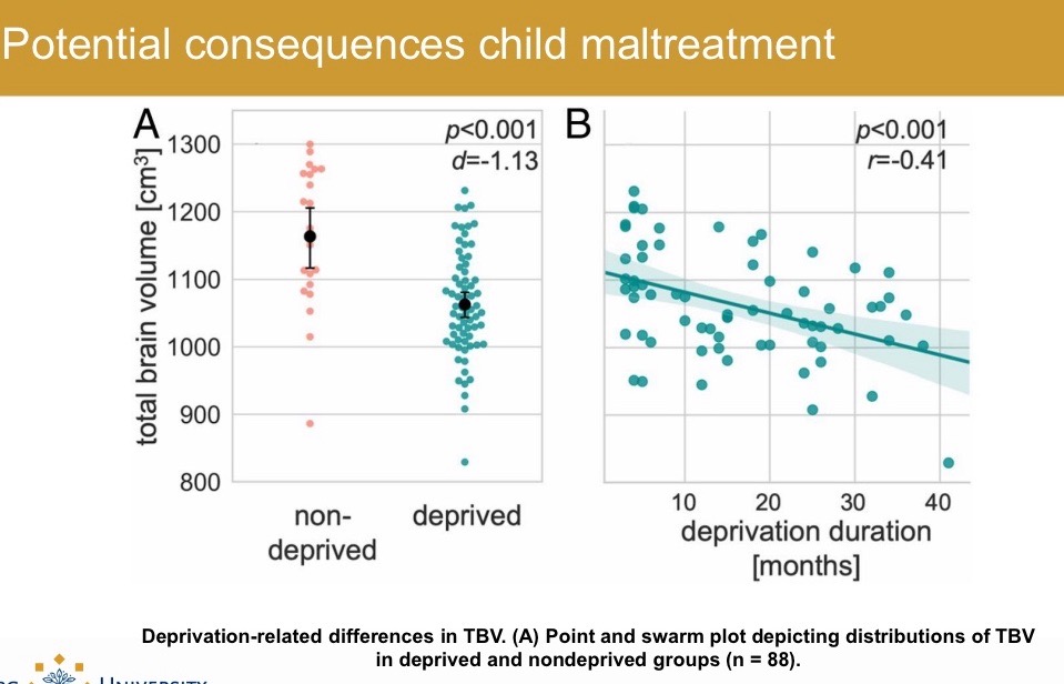 <ul><li><p>Structural changes in maltreated children: reduced prefronal cortex volume (PFC important fro higher cognitive functions and emotion regulation)</p></li><li><p>Duration matters: different brain areas develop at different pace.. but large individual differences</p></li></ul>