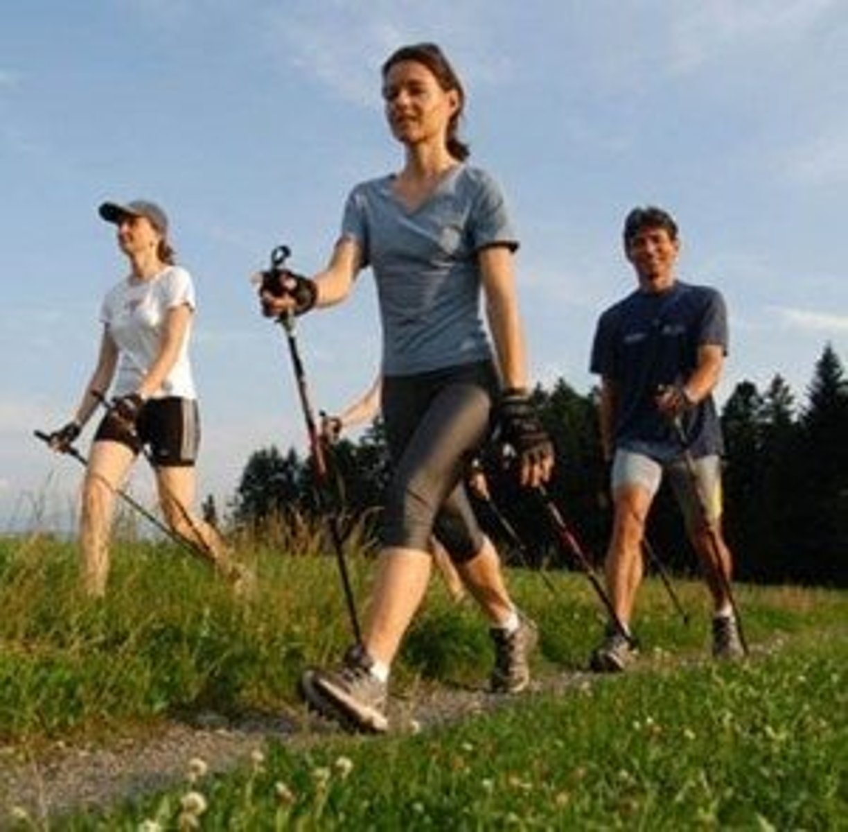 <p>to take a walk</p>