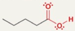 <p>Pentanoic Acid</p>