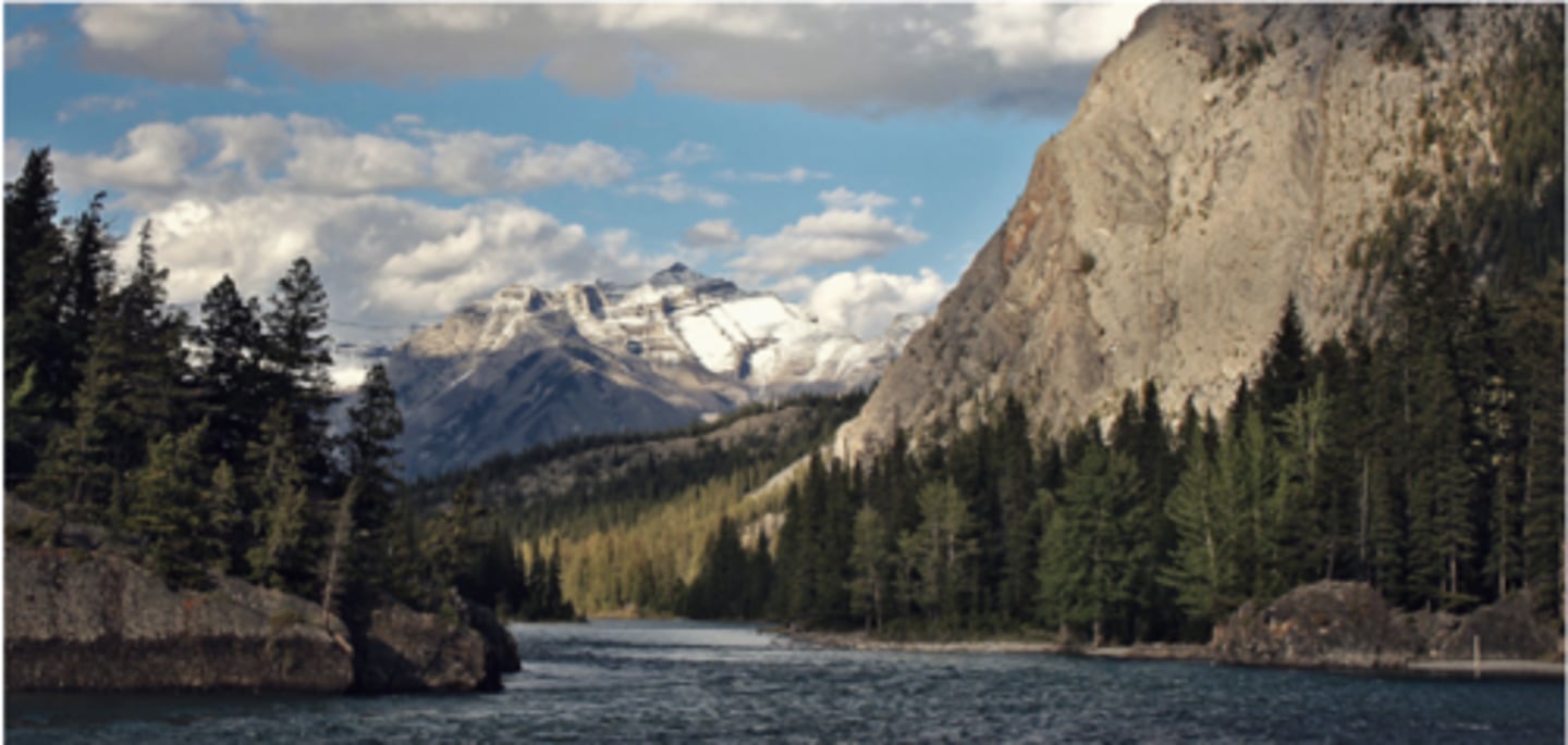 <p>World's largest terrestrial biome, stretching across North America, Europe, and Asia just south of the Arctic tundra</p><p>-long, cold winters and short, mild summers; moderate precipitation</p><p>-dominated by coniferous trees (i.e. spruce, pine, fir) with needle-like leaves to reduce water loss and shed snow</p><p>-thin, acidic, nutrient-poor soils; permafrost may occur in N taiga, but less widespread than in tundra</p><p>-cold-adapted mammals (moose, lynx, wolves)</p><p>-acts as major global carbon sink due to massive biomass and soil carbon, but subject to frequent disturbances like wildfires, climate change, logging, and resource extraction</p>