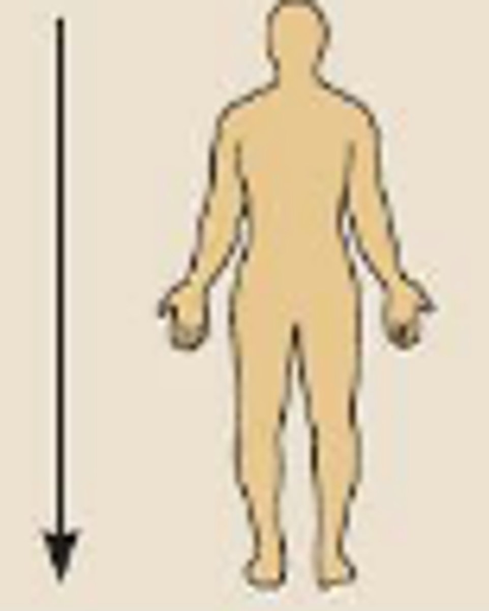 <p>Lower on the body, farther from the head</p>