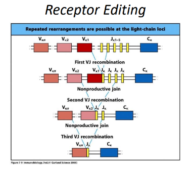 <p>-lower stakes, multiple “re-dos”</p>