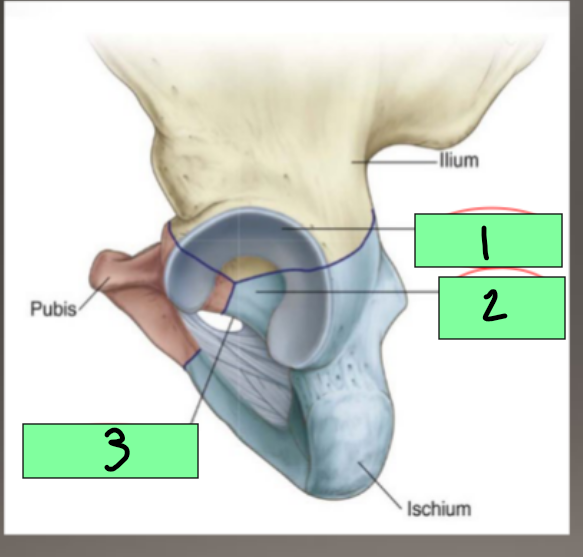 <p>2</p>