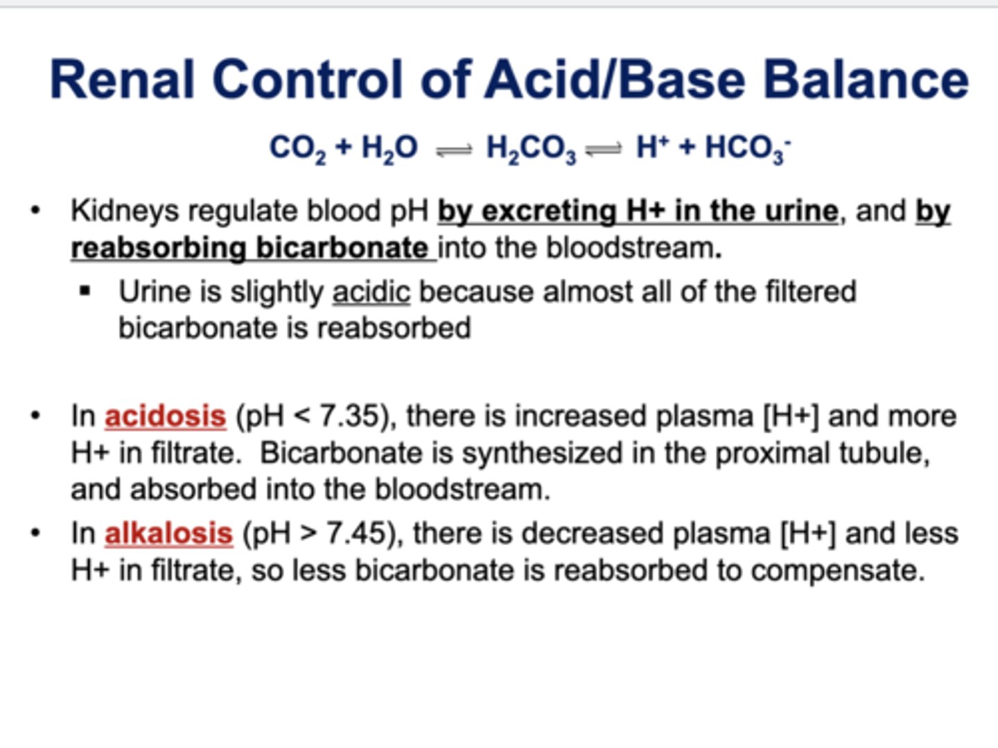 <p>☆ Kidneys regulate blood pH by excreting H+ in the urine, and by reabsorbing bicarbonate into the bloodstream</p><p>- Urine is slightly acidic because almost all of the filtered bicarbonate is reabsorbed</p><p>☆ Acidosis</p><p>☆ Alkalosis</p>