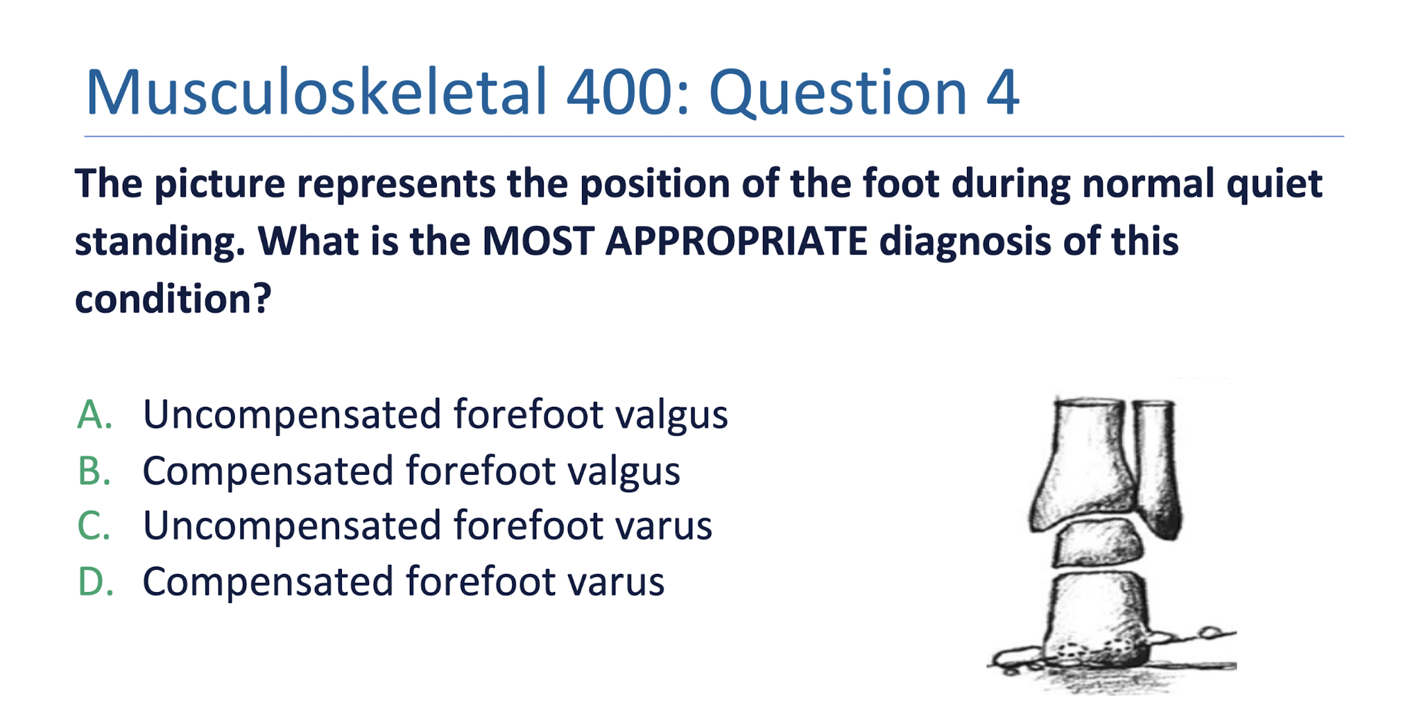 <p>» Answer:</p><ul><li><p>Uncompensated:</p><ul><li><p>Forefoot VARUS =</p></li><li><p>Forefoot VALGUS =</p></li></ul></li><li><p>Compensated:</p><ul><li><p>Forefoot VARUS =</p></li><li><p>Forefoot VALGUS = </p></li></ul></li></ul><p></p>
