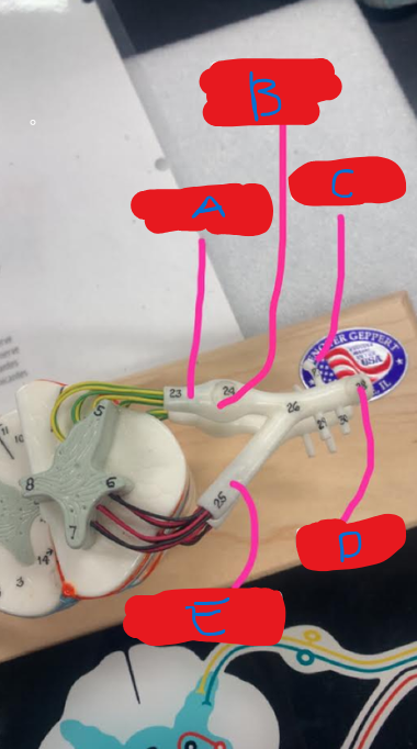 <p>What is B?</p>