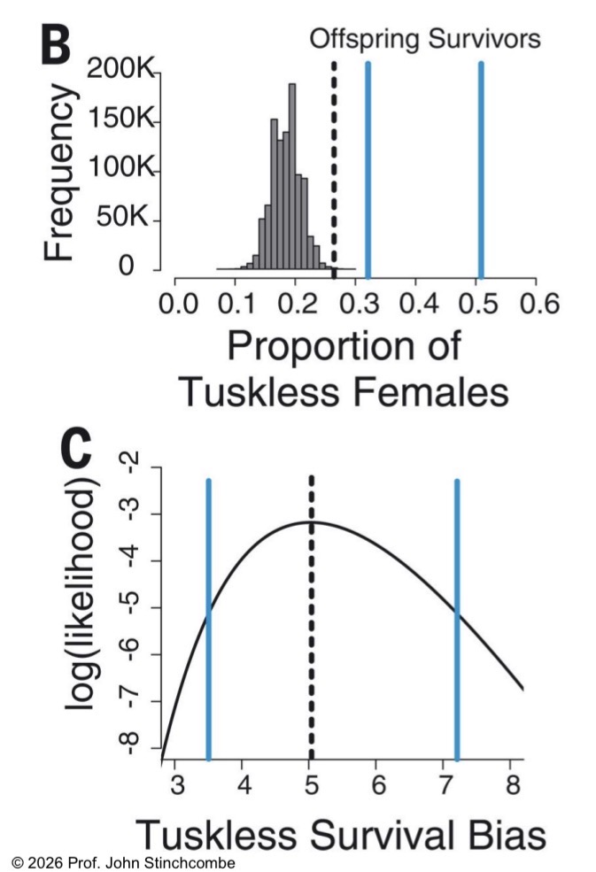 <p>What are the two the characteristics of the locus responsible for producing tusklessness in elephants?</p>