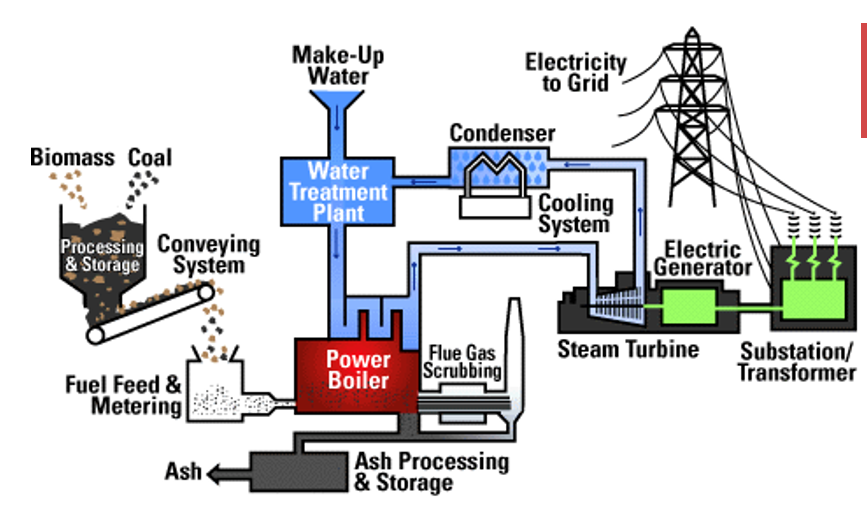 <ul><li><p>Coal is combusted in a furnace to create steam, which turns a turbine. The turbine drives a generator that produces an electrical current</p></li></ul><p></p>