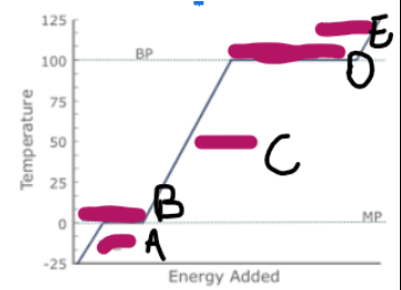<p>What is happening at E</p>