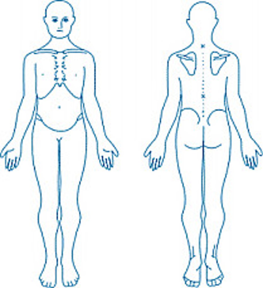 <p>Body standing erect with hands to the side and palms facing forward</p>
