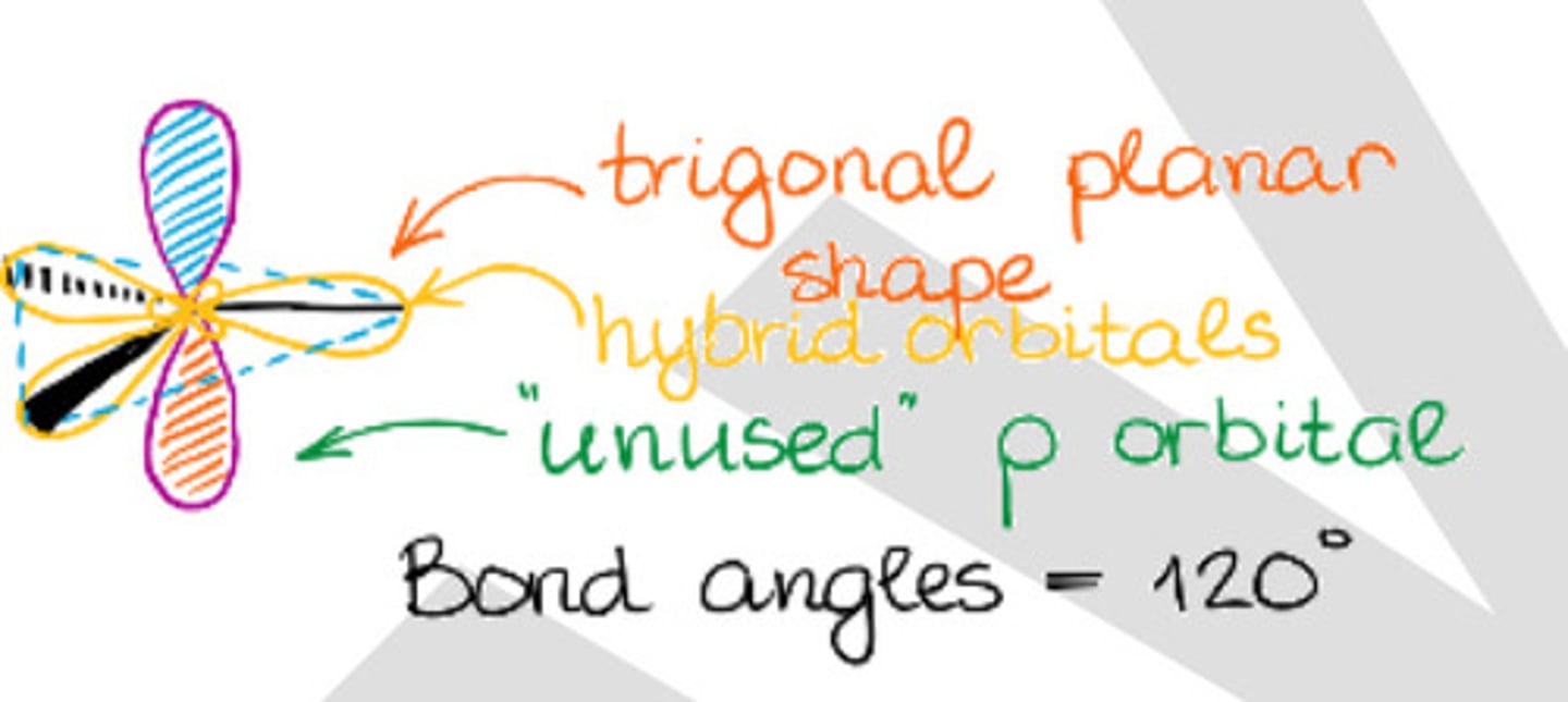 <p>b. sp2 hybridization</p>