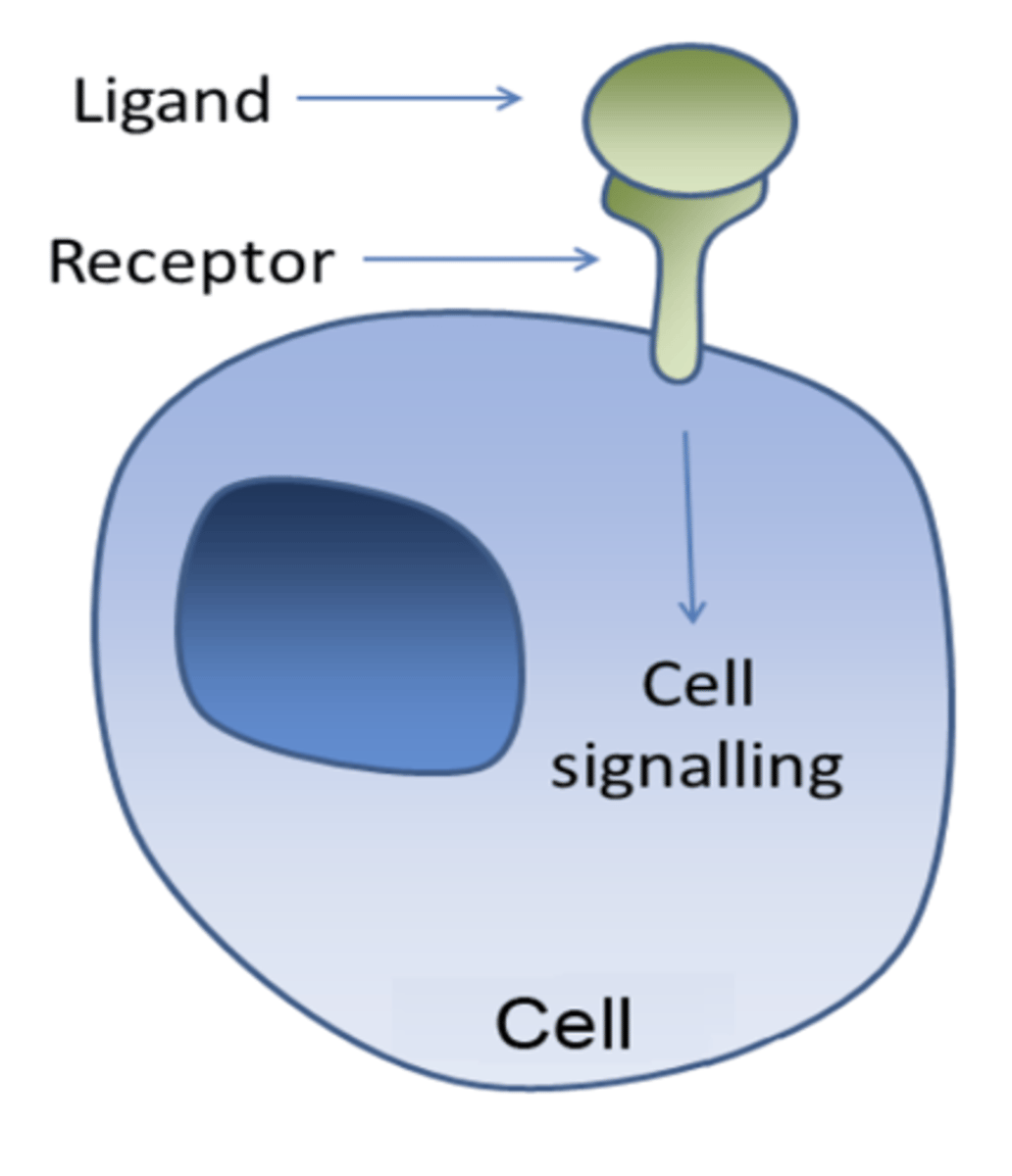 <p>a signal, a receptor, and a response</p>
