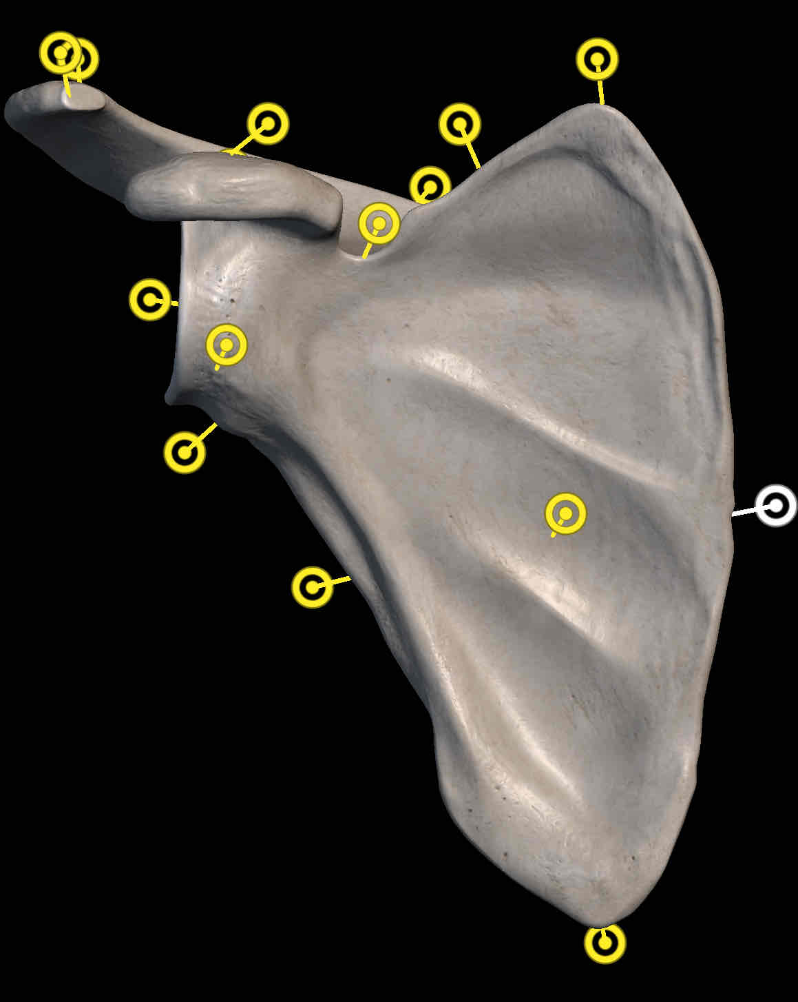 <p>Name the structure </p>